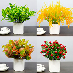Artificial Green Radish Plastic Small Potted Plant Fake Plant Indoor and Outdoor Decorative Potted Plant Pastoral Artificial Flowers and Plants Fake Green Radish Decoration Artificial Green Radish Plastic Small Potted Plant Fake Plant Indoor and Outdoor Decorative Potted Plant Pastoral Artificial Flowers and Plants Fake Green Radish Decoration