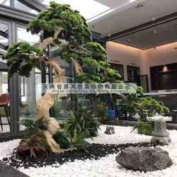 Simulated pine artificial tree porch fake tree landscaping large simulated plant beauty pine welcoming pine fake pine manufacturer Simulated pine artificial tree porch fake tree landscaping large simulated plant beauty pine welcoming pine fake pine manufacturer