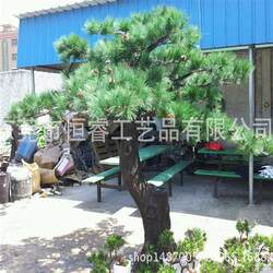 Large simulated plant manufacturer designs and customizes artificial solid wood pine office scenery fiberglass pine trees Large simulated plant manufacturer designs and customizes artificial solid wood pine office scenery fiberglass pine trees