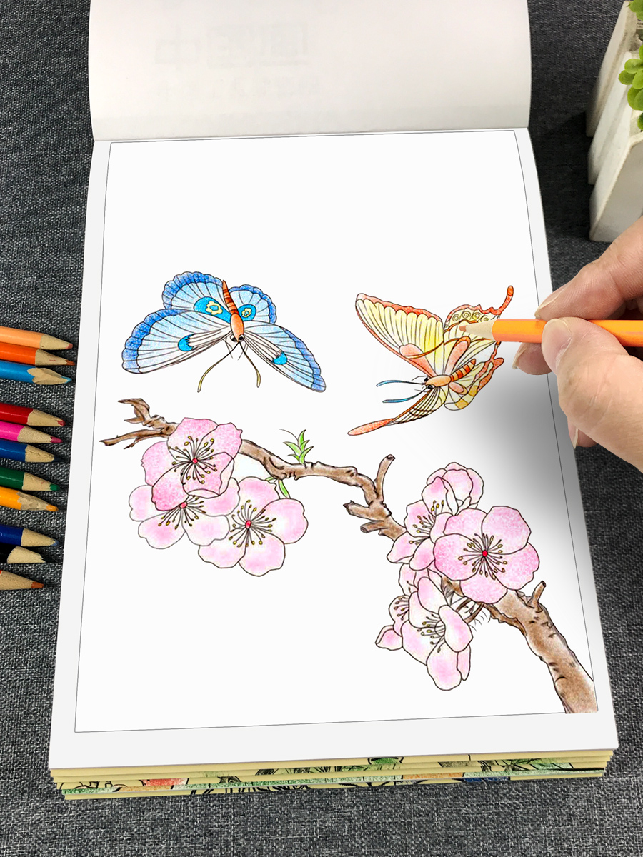中国画白描临摹画册儿童入门描摹本手绘本初学者套装填色本正品