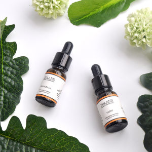 Spot 10ml dropper aromatherapy essential oil car humidifier aromatherapy machine available water-soluble aromatherapy essential oil 
Spot 10ml dropper aromatherapy essential oil car humidifier aromatherapy machine available water-soluble aromatherapy essential oil