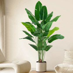 Artificial Green Plant Potted Bird of Paradise Living Room Trendy Fake Tree Bionic Plant Ornament Indoor Traveler's Banana Decorative Flower Artificial Green Plant Potted Bird of Paradise Living Room Trendy Fake Tree Bionic Plant Ornament Indoor Traveler's Banana Decorative Flower