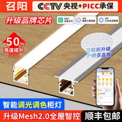 Embedded Smart Three-Color Cabinet Light Led Sensor Under-Cabinet Light Wardrobe Light Strip Wine Cabinet Bookcase Invisible Shelf Light Embedded Smart Three-Color Cabinet Light Led Sensor Under-Cabinet Light Wardrobe Light Strip Wine Cabinet Bookcase Invisible Shelf Light