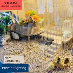 Rutin chicken isolation board anti-fight acrylic breeding box separate net anti-peck injury cage pet supplies quail bird Rutin chicken isolation board anti-fight acrylic breeding box separate net anti-peck injury cage pet supplies quail bird