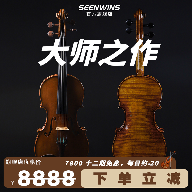 Saint vis Sw030 プロフェッショナルバイオリン - 4/4 サイズ