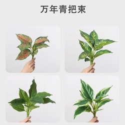 Artificial Greenery 10-Leaf Evergreen Plant Wall Bundle Accessories Indoor Home Decoration Fake Leaves Fake Plant Ornaments Artificial Greenery 10-Leaf Evergreen Plant Wall Bundle Accessories Indoor Home Decoration Fake Leaves Fake Plant Ornaments