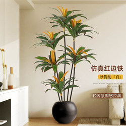 Simulated Green Plant with Red Edges, Indoor Living Room High-End Light Luxury Decoration, High-End Artificial Plant Potted Fake Tree Simulated Green Plant with Red Edges, Indoor Living Room High-End Light Luxury Decoration, High-End Artificial Plant Potted Fake Tree