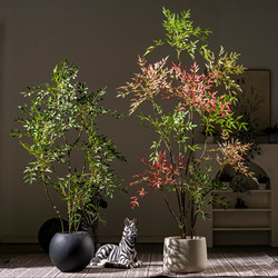 High-End Light Luxury Artificial Nandina Bamboo Dense Green Plant Large Potted Indoor Living Room Faux Tree Decoration Floor-Standing Ornament High-End Light Luxury Artificial Nandina Bamboo Dense Green Plant Large Potted Indoor Living Room Faux Tree Decoration Floor-Standing Ornament