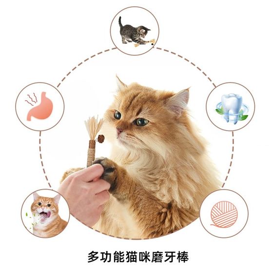 Quick-haired cat teeth grinding sticks Wooden lily teeth Cat Nest teasing cat biting kitten special cat snacks Quick-haired cat teeth grinding sticks Wooden lily teeth Cat Nest teasing cat biting kitten special cat snacks