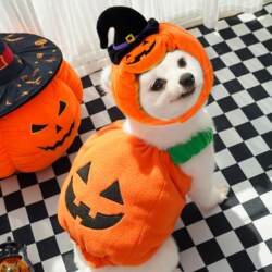 Dog Halloween and Christmas Costume Funny Cat Two-Legged Pet Teddy Dog Clothes Supplies Dog Halloween and Christmas Costume Funny Cat Two-Legged Pet Teddy Dog Clothes Supplies