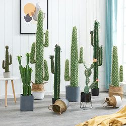 Nordic simulated cactus measuring ruler potted cactus column fake green plant tropical ball plant window decoration ornaments Nordic simulated cactus measuring ruler potted cactus column fake green plant tropical ball plant window decoration ornaments