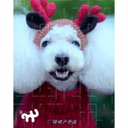 T cats and dogs pure cotton Christmas elk hat holiday hat pure hand knitted Christmas pet clothing T cats and dogs pure cotton Christmas elk hat holiday hat pure hand knitted Christmas pet clothing