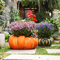 Retro Succulent Green Plant Pumpkin Flower Pot Large Diameter Outdoor Courtyard Balcony Garden House Decoration and Landscaping Ornaments Retro Succulent Green Plant Pumpkin Flower Pot Large Diameter Outdoor Courtyard Balcony Garden House Decoration and Landscaping Ornaments