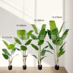 Factory direct sales simulated traveler banana green plant potted indoor artificial fake tree bonsai home office decoration Factory direct sales simulated traveler banana green plant potted indoor artificial fake tree bonsai home office decoration