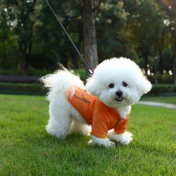 Winter new thickened dog Teddy Bichon pet small and medium-sized dog clothes pet bipeds dog clothing Winter new thickened dog Teddy Bichon pet small and medium-sized dog clothes pet bipeds dog clothing