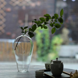 Rose Story Chinese Zen High Transparent Glass Vase Flower-arranging Hydroponic Flower Ornaments Home Living Room Dining Table Decoration Rose Story Chinese Zen High Transparent Glass Vase Flower-arranging Hydroponic Flower Ornaments Home Living Room Dining Table Decoration