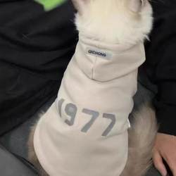 Pet cat clothing, autumn and winter clothing, anti-shedding and warm Pet cat clothing, autumn and winter clothing, anti-shedding and warm