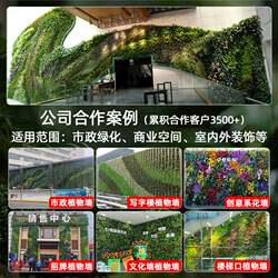 Green plant wall simulated plant wall balcony plastic interior decoration background outdoor green artificial wall bionic fake lawn Green plant wall simulated plant wall balcony plastic interior decoration background outdoor green artificial wall bionic fake lawn