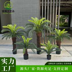 Simulated cycad bonsai shopping mall landscaping project decoration indoor and outdoor tropical fake plants environmentally friendly artificial iron trees Simulated cycad bonsai shopping mall landscaping project decoration indoor and outdoor tropical fake plants environmentally friendly artificial iron trees