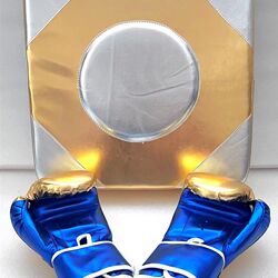 Wall target children's wall-mounted Sanda sandbag boxing target household sandbag boxing bag without punching boxing training Wall target children's wall-mounted Sanda sandbag boxing target household sandbag boxing bag without punching boxing training