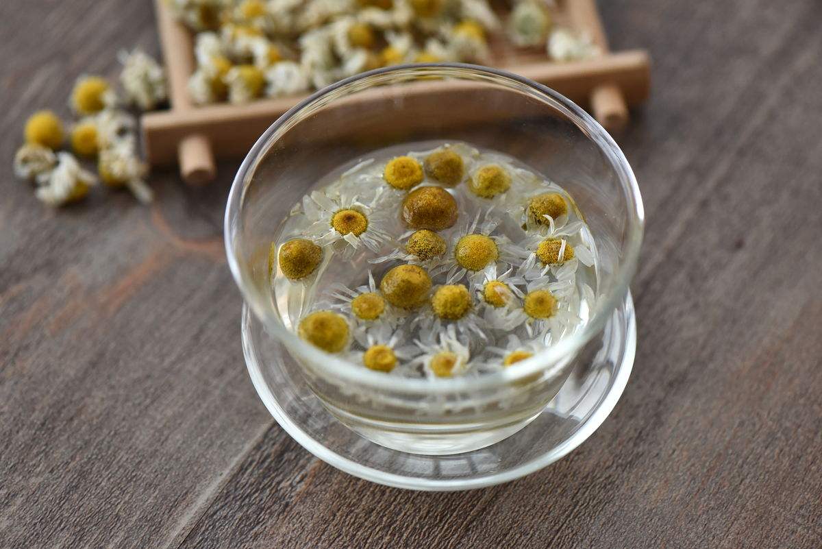 胎菊花罗汉果枸杞花茶 Chrysanthemum Tea | 一树家药膳 Yi Shu Home Chinese Herbal Online ...