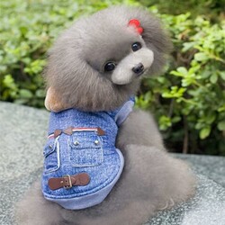 Pet dog clothes autumn and winter thickened warm clothing Pet dog clothes autumn and winter thickened warm clothing