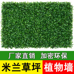 Simulated Milan Lawn Plastic Artificial Turf Plant Wall Green Plant Wall Decoration Indoor Background Flower Wall Door Head Simulated Milan Lawn Plastic Artificial Turf Plant Wall Green Plant Wall Decoration Indoor Background Flower Wall Door Head