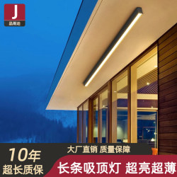 Long Strip Ceiling Light, Ultra-Thin Linear Light, Surface-Mounted Strip Light, Ultra-Bright Special Light for Terrace and Sunroom, Outdoor Balcony Light Long Strip Ceiling Light, Ultra-Thin Linear Light, Surface-Mounted Strip Light, Ultra-Bright Special Light for Terrace and Sunroom, Outdoor Balcony Light
