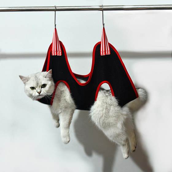 New Product Recommendations Pet Cleaning and Grooming Set Supplies Small and Medium-sized Hammock Nail Clippers Comb for Cats and Dogs
New Product Recommendations Pet Cleaning and Grooming Set Supplies Small and Medium-sized Hammock Nail Clippers Comb for Cats and Dogs