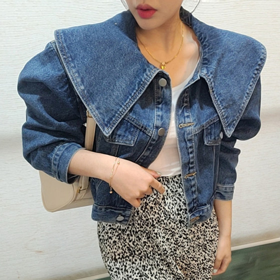 Korean chic summer retro age-reducing doll collar loose casual versatile long-sleeved short denim jacket top for women
Korean chic summer retro age-reducing doll collar loose casual versatile long-sleeved short denim jacket top for women