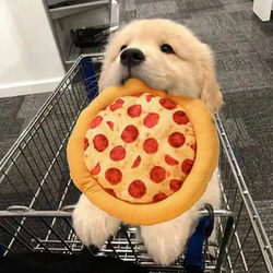 Dog Toy with Sound, Pizza Crinkle Paper, Plush Pet Toy for Shiba Inu, Golden Retriever, Cute Companion, Training, Corgi, Teething Supplies Dog Toy with Sound, Pizza Crinkle Paper, Plush Pet Toy for Shiba Inu, Golden Retriever, Cute Companion, Training, Corgi, Teething Supplies