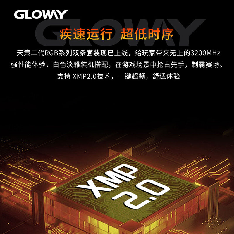 Gloway Tiance II 16GB (2x8GB) DDR4 3200MHz RGB Desktop Memory