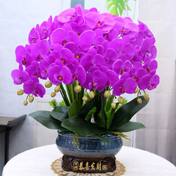 Artificial Flowers, High-End Large Pot, Moisturizing Feel, Phalaenopsis Orchid, Living Room Coffee Table Decorative Flowers, Tv Cabinet, Entrance Hall, Company Decorations Artificial Flowers, High-End Large Pot, Moisturizing Feel, Phalaenopsis Orchid, Living Room Coffee Table Decorative Flowers, Tv Cabinet, Entrance Hall, Company Decorations