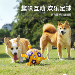 Dog Toy Football, Bite-Resistant, Outdoor Play Boredom-Relief Gadget, Special Toy Ball for Corgi, Shiba Inu, Border Collie Training Dog Toy Football, Bite-Resistant, Outdoor Play Boredom-Relief Gadget, Special Toy Ball for Corgi, Shiba Inu, Border Collie Training