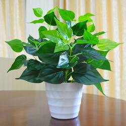 Artificial Green Radish Potted Plant Indoor Artificial Plant Plastic Small Potted Decorative Green Plant Artificial Flowers and Plants Fake Green Radish Artificial Green Radish Potted Plant Indoor Artificial Plant Plastic Small Potted Decorative Green Plant Artificial Flowers and Plants Fake Green Radish