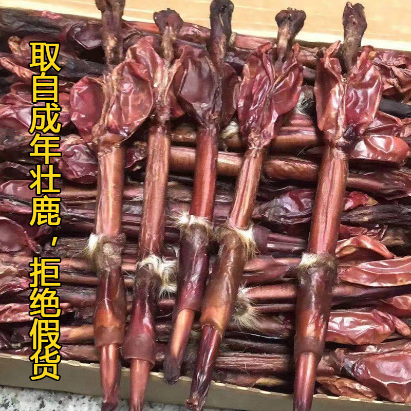 鹿鞭丸 全体 - 70g - 本物の吉林シカ