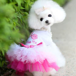 Spring and summer cat and dog pet skirts love gauze skirt Teddy Bichon Maltese Poodle small dog tutu skirt clothing Spring and summer cat and dog pet skirts love gauze skirt Teddy Bichon Maltese Poodle small dog tutu skirt clothing
