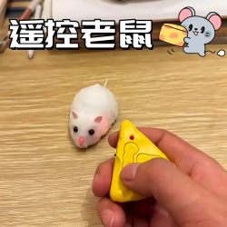 Remote control mouse simulation model cute electronic pet Remote control mouse simulation model cute electronic pet