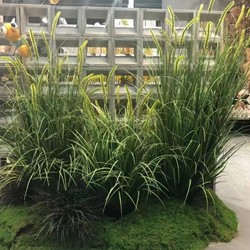 Artificial Green Plants, Fake Grass, Cattail Grass Ornaments, Grass Balls, Grass Piles, Indoor Floor Landscaping, Fake Flowers, Landscape Decoration, Photography Props Artificial Green Plants, Fake Grass, Cattail Grass Ornaments, Grass Balls, Grass Piles, Indoor Floor Landscaping, Fake Flowers, Landscape Decoration, Photography Props