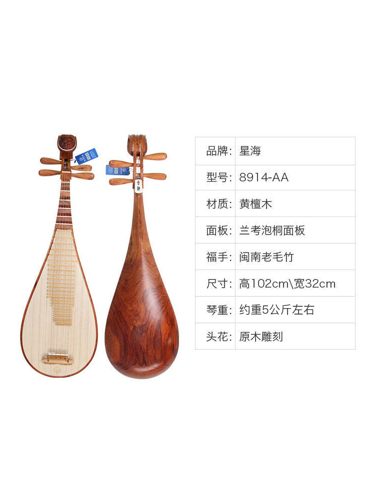 楽器 琵琶 O1CN01OYYfnF1eZptcMVltp_!!