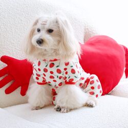 Cross-border dog summer strawberry cute clothing cat clothes breathable, cool, thin and comfortable pet supplies Cross-border dog summer strawberry cute clothing cat clothes breathable, cool, thin and comfortable pet supplies