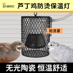 Rutin chicken insulation lamp Quail parrot heating lamp Rutin chicken insulation lamp Quail parrot heating lamp