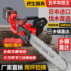 Handheld Imported High-Power Lithium Electric Chainsaw Rechargeable Brushless High-Speed Saw Electric Chainsaw Portable Logging Tool Handheld Imported High-Power Lithium Electric Chainsaw Rechargeable Brushless High-Speed Saw Electric Chainsaw Portable Logging Tool