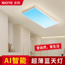 Qingqingkong Light, Ultra-Thin Seamless Ceiling-Mounted Balcony Light, 2025 New Model, Hallway Light, Corridor Entrance Door Foyer Light Qingqingkong Light, Ultra-Thin Seamless Ceiling-Mounted Balcony Light, 2025 New Model, Hallway Light, Corridor Entrance Door Foyer Light