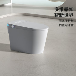 Mu Brand Smart Toilet Fully Automatic Household Top Ten Brands All-In-One Toilet Without Water Pressure Limit Heating Toilet Mu Brand Smart Toilet Fully Automatic Household Top Ten Brands All-In-One Toilet Without Water Pressure Limit Heating Toilet