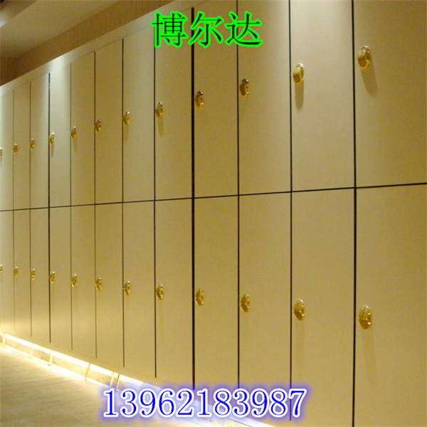 Купить Шкаф для одежды Электронный замок локера, роскошные Locker ...