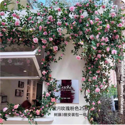 Artificial Rose Vine Flower Wall Fake Flower Decorative Flower Vine Air Conditioning Pipe Cover Shop Landscaping Courtyard Decoration Artificial Rose Vine Flower Wall Fake Flower Decorative Flower Vine Air Conditioning Pipe Cover Shop Landscaping Courtyard Decoration