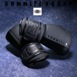 summitdragon boxing gloves with storage bag summitdragon boxing gloves with storage bag