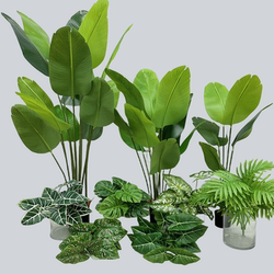 Artificial Traveler's Palm Floor Plant, Large Bunch of Sunflower-Like Green Plants, Various Styles for Engineering Landscaping, Sunflower Tree with Green Leaves Artificial Traveler's Palm Floor Plant, Large Bunch of Sunflower-Like Green Plants, Various Styles for Engineering Landscaping, Sunflower Tree with Green Leaves