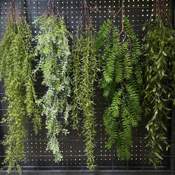 Artificial Plant Plastic Hanging Vine, Fern, Cycad, Wall-Mounted Green Plant Vine, Shopping Mall Outdoor Restaurant Decoration Hanging Vine Artificial Plant Plastic Hanging Vine, Fern, Cycad, Wall-Mounted Green Plant Vine, Shopping Mall Outdoor Restaurant Decoration Hanging Vine